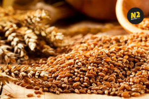 cereales integrales, cereales refinados, alimentacion equilibrada, alimentacion saludable